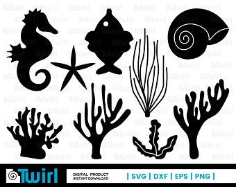 340x270 Seaweed Vector Etsy