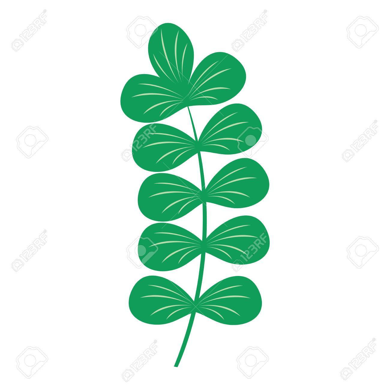 1300x1300 Seaweed Vector Illustration Leaf Clipart Portal