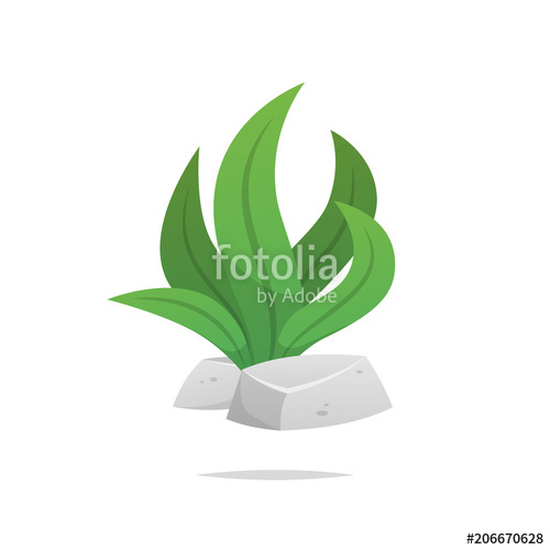500x500 Seaweed Vector Isolated Stock Image And Royalty Free Vector