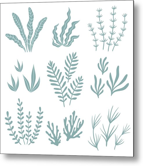 493x572 Set Of Seaweed Vector Illustration Metal Print