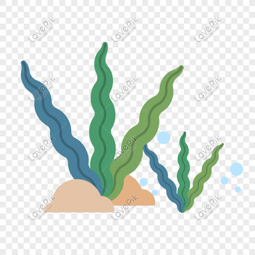 860x860 Cartoon Seaweed Vector Download Png Image Picture Free Download