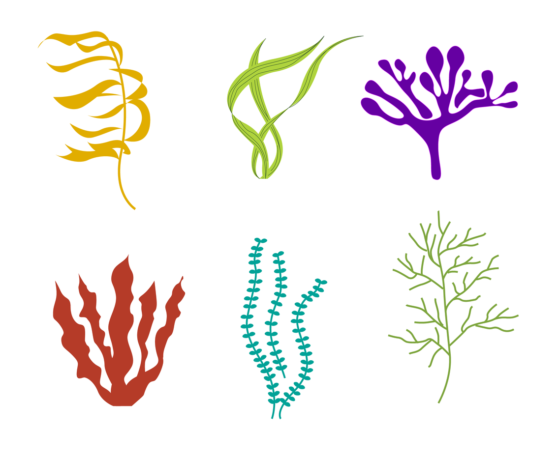 1136x936 Free Seaweed Vector Vector Art Graphics