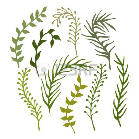 450x450 Kartinki Po Zaprosu Seaweed Vector Sea Life Wreath Watercolor