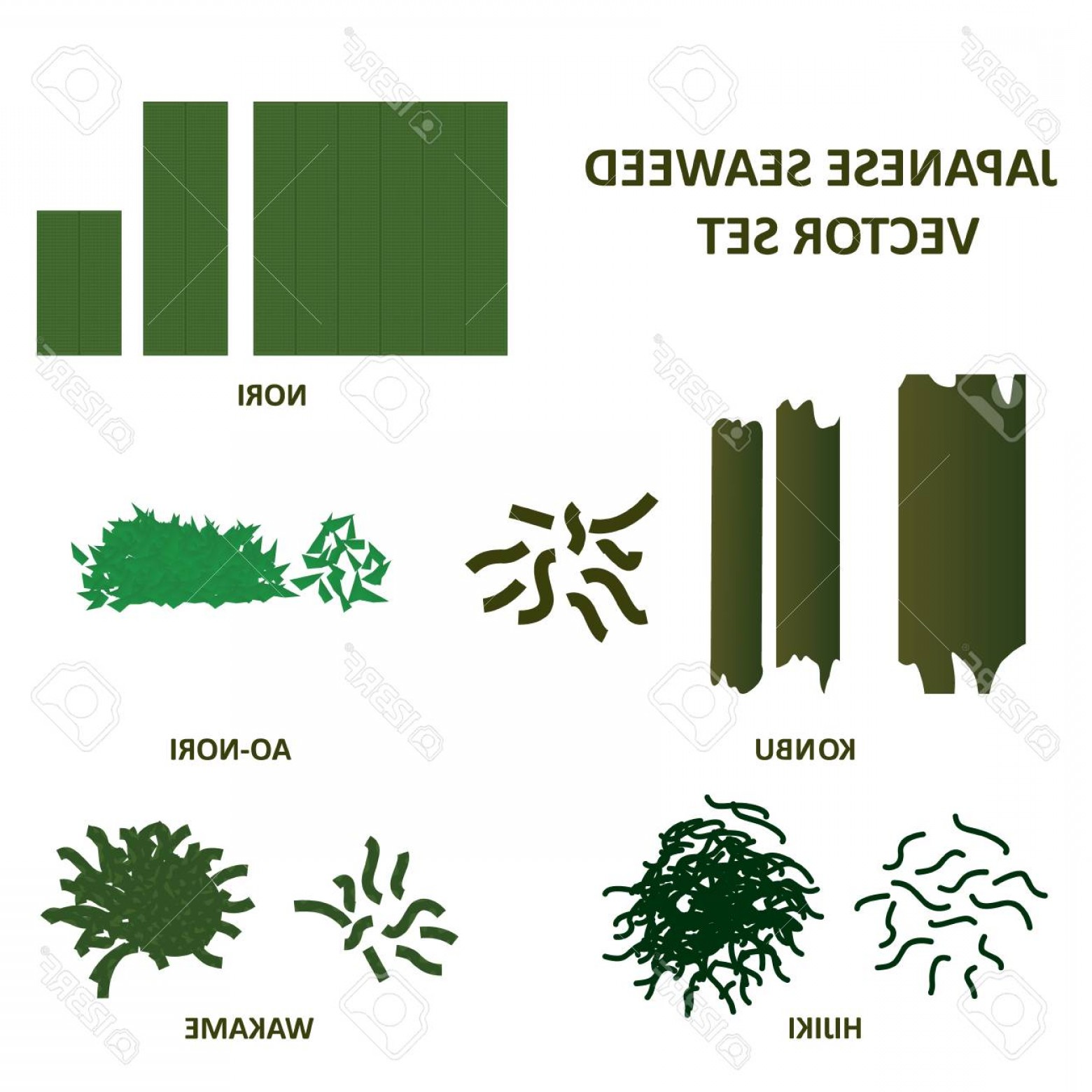 1560x1560 Photostock Vector Seaweed Vector Set Nori Konbu And Ao Nori Algae