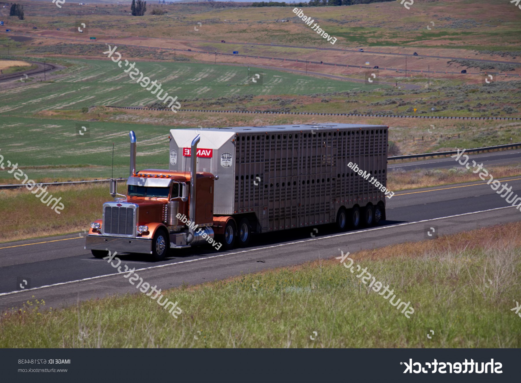 1800x1322 Copper Classic Peterbilt Semi Truck Pulls Handandbeak