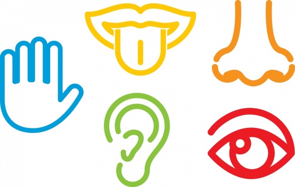600x380 Human Sense Design Elements Outline Flat Colorful Style Free