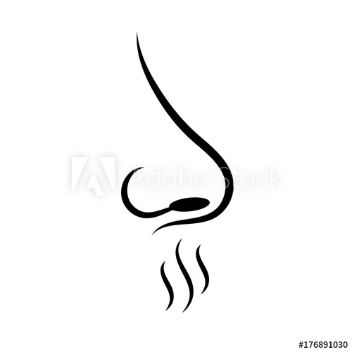 500x500 Smell Sense Vector Icon