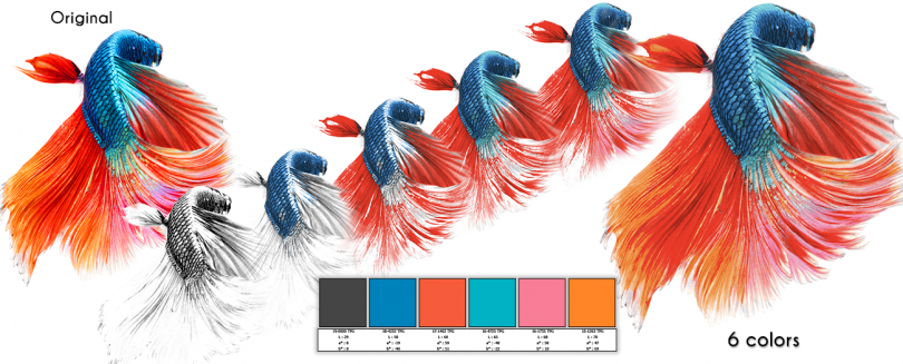 Color Separation Vector 810x327 Color Separation Vector