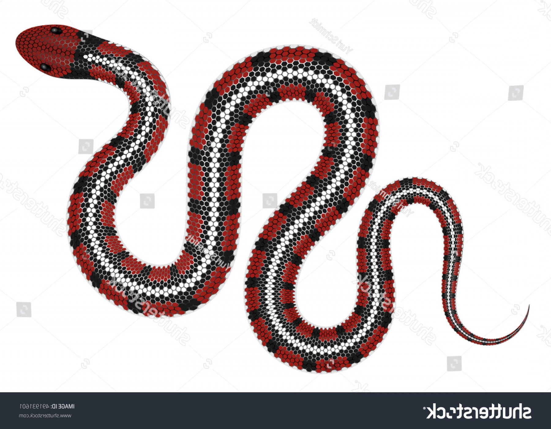1800x1401 Serpent Snake Vector Wallkeeper