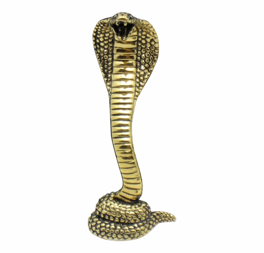 920x881 Serpent Vector Viper Cobra