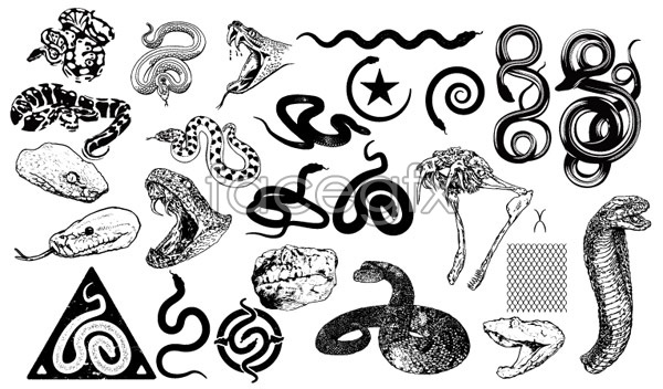 600x352 Serpent Vector Material Over Millions Vectors, Stock Photos, Hd