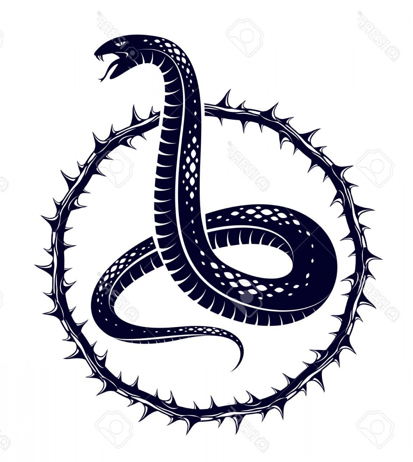 1396x1560 Photostock Vector Snake Vector Logo Emblem Or Tattoo Deadly Poison