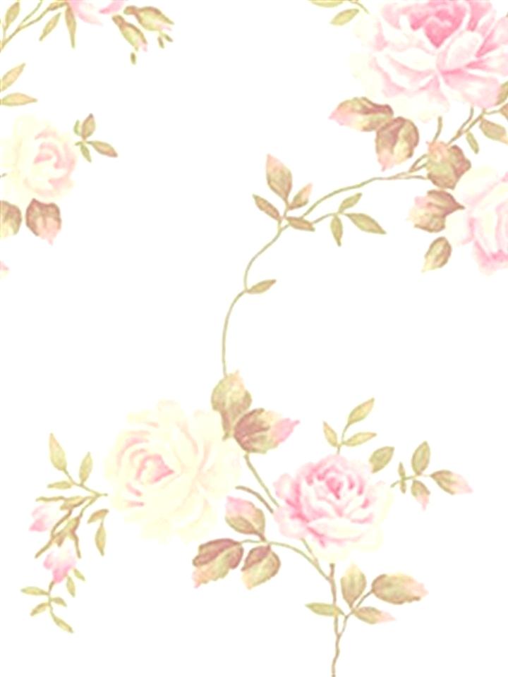 720x960 Shabby Chic Background