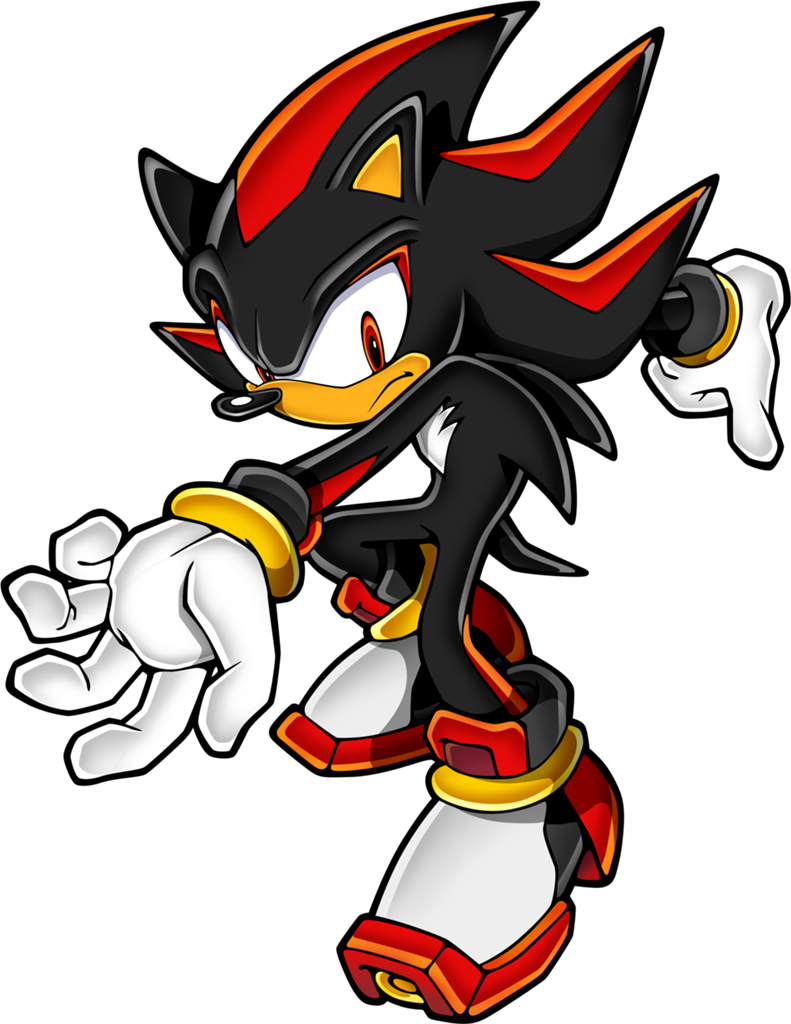 791x1024 Shadow The Hedgehog Party Ninja Wiki Fandom Powered