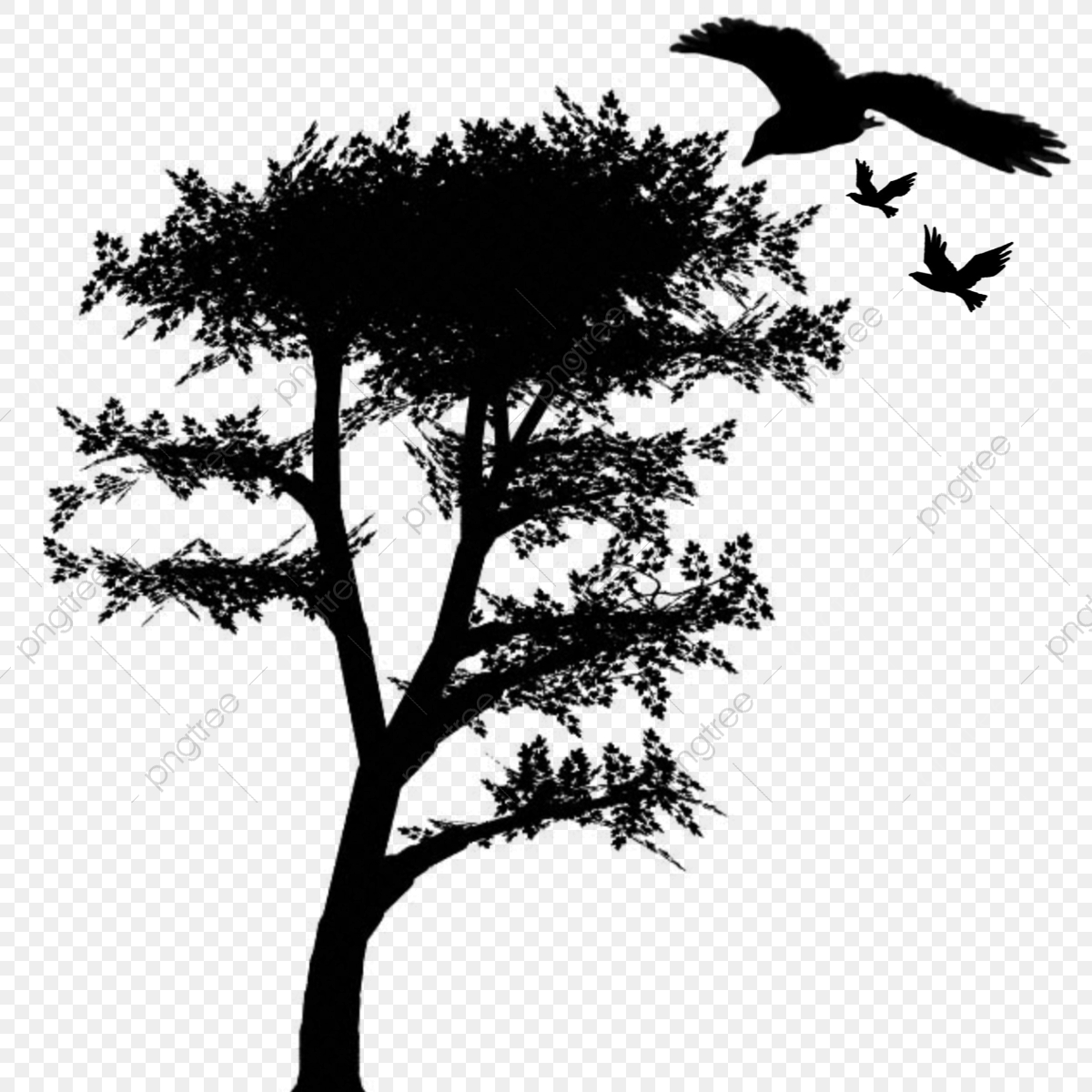 1200x1200 Tree And Bird Black And White Shadow Vector Design, Png, Tree