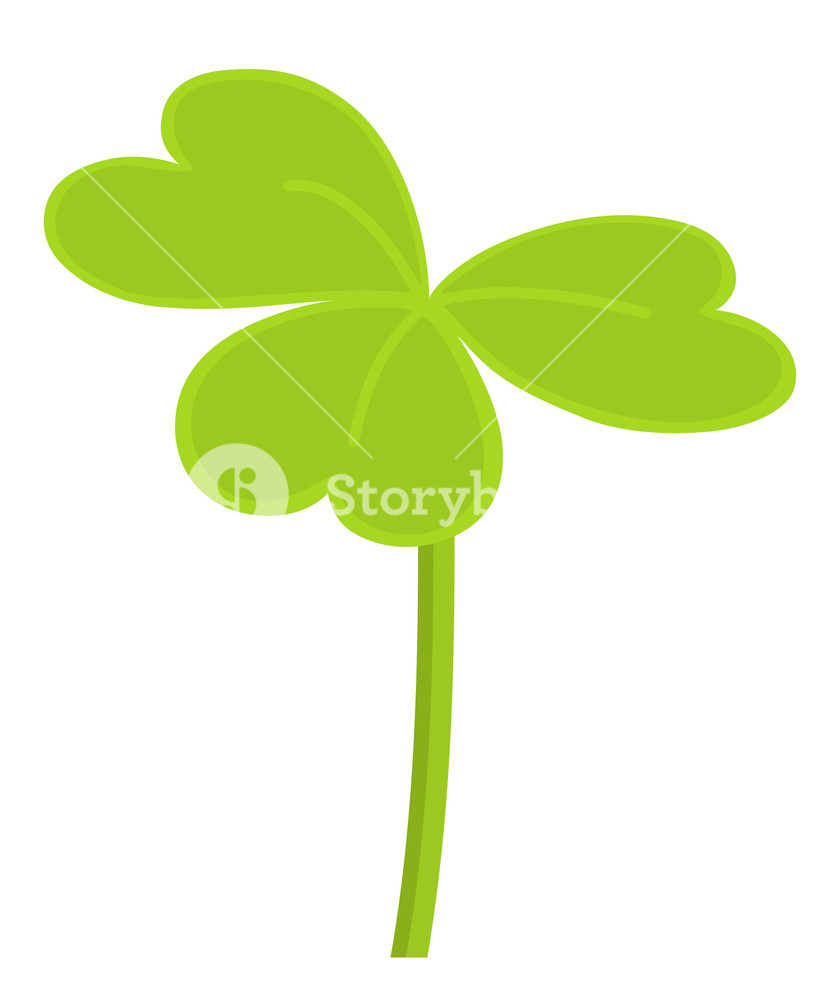 828x1000 Shamrock Vector Royalty Free Stock Image