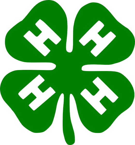 558x600 Shamrock Clip Art