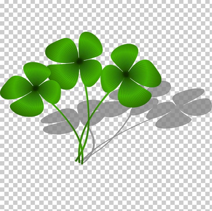 728x724 Four Leaf Clover Shamrock White Clover Luck Png, Clipart, Leaf