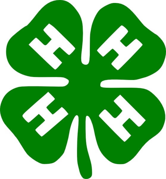 558x600 Shamrock Clip Art Free Vector In Open Office Drawing