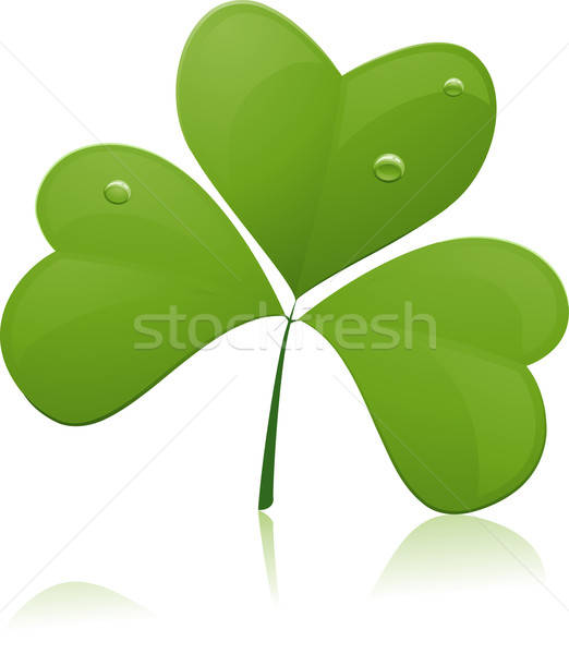 522x600 Shamrock Vector Illustration Lenm