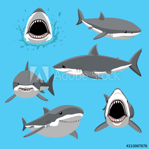 Great White Shark Six Poses Cartoon Vector Illustration 499x500 Great White Shark Six Poses Cartoon Vector Illustration