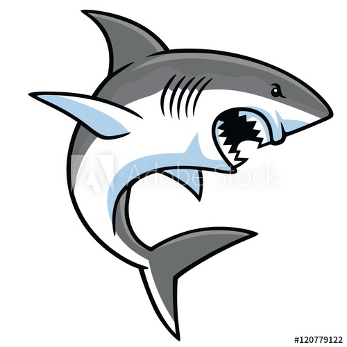 Shark Cartoon Vector at Vectorified.com | Collection of Shark Cartoon ...