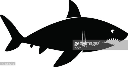 Shark Cartoon Vector Icon Premium Clipart 500x263 Shark Cartoon Vector Icon Premium Clipart
