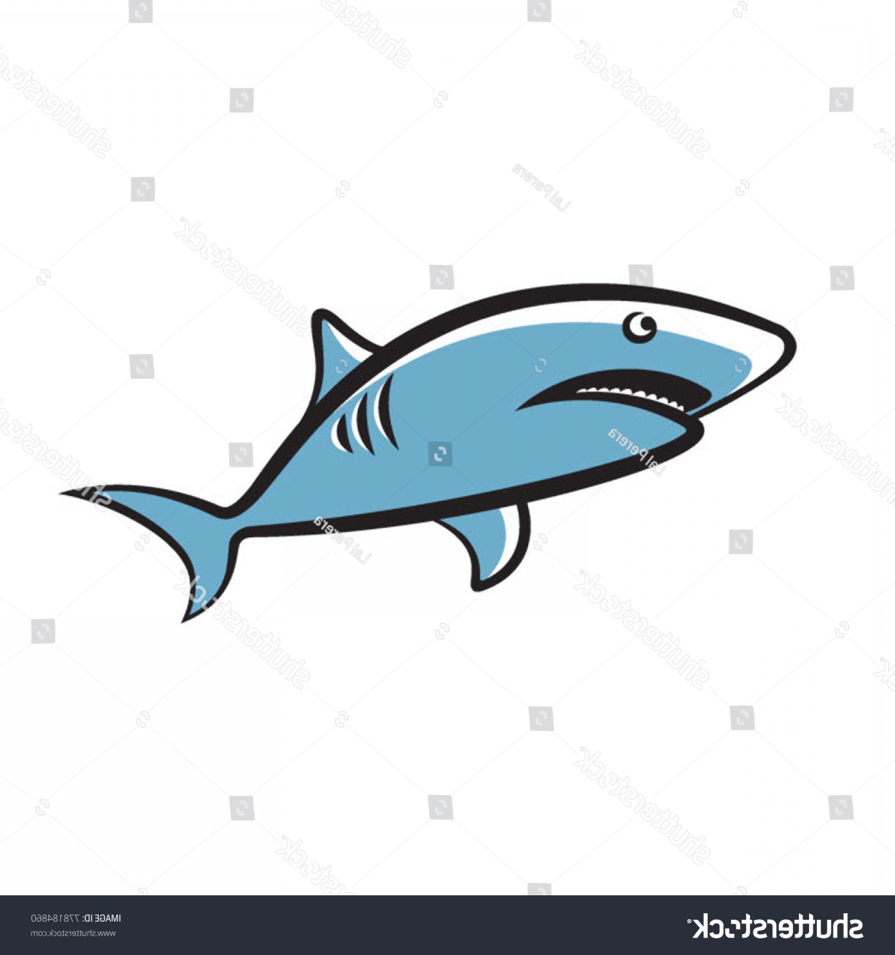 Shark Fish Teeth Cartoon Vector Drawing Soidergi 1800x1920 Shark Fish Teeth Cartoon Vector Drawing Soidergi