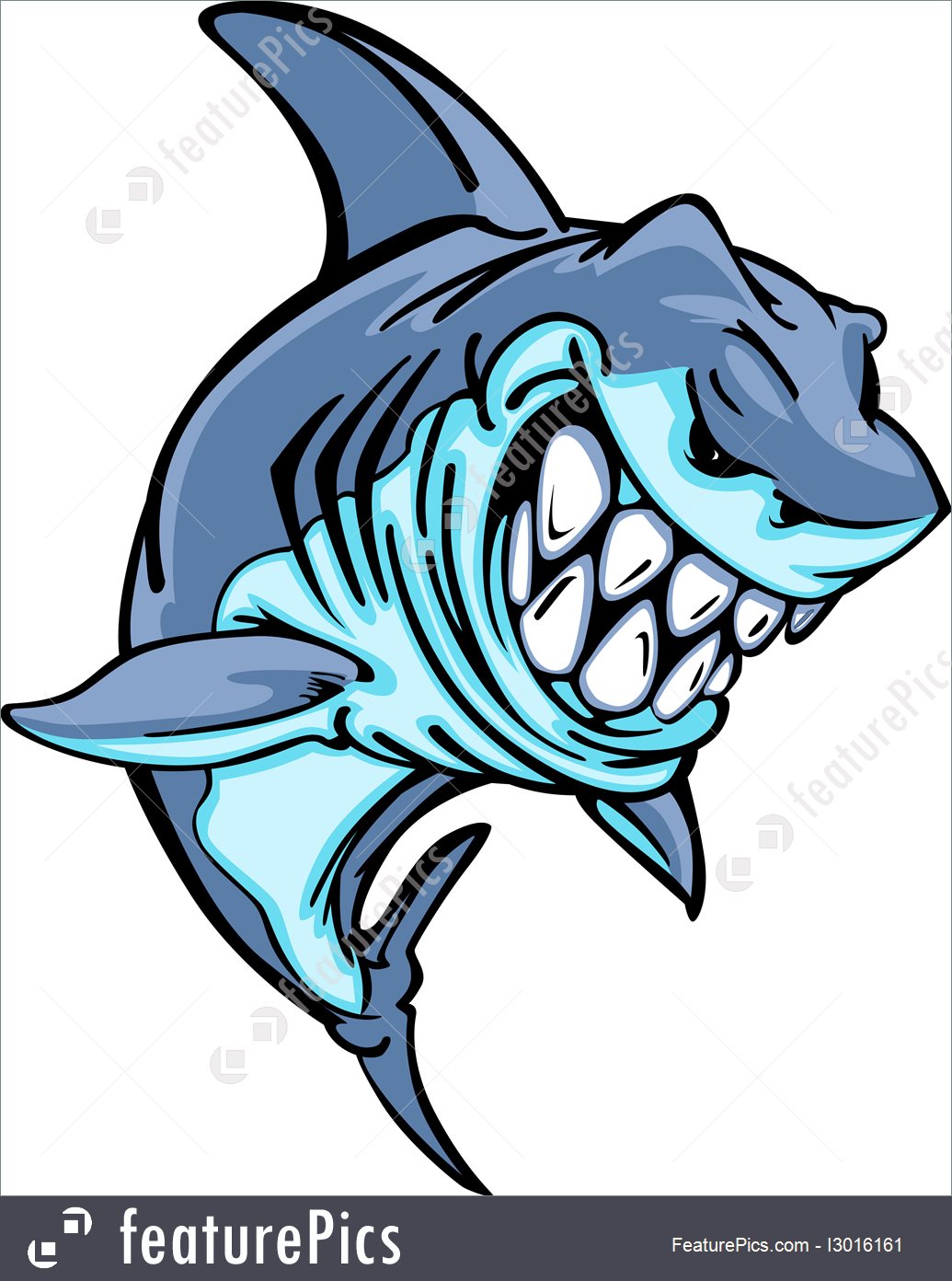 Shark Mascot Cartoon Vector Image 1035x1392 Shark Mascot Cartoon Vector Image