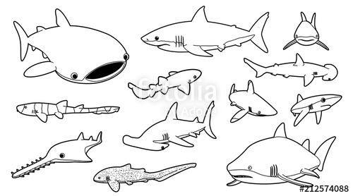 Various Sharks Cartoon Vector Illustration Monochrome Stock 500x278 Various Sharks Cartoon Vector Illustration Monochrome Stock