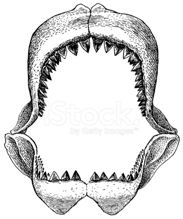 Shark's Jaw Stock Vector 368x440 Shark's Jaw Stock Vector