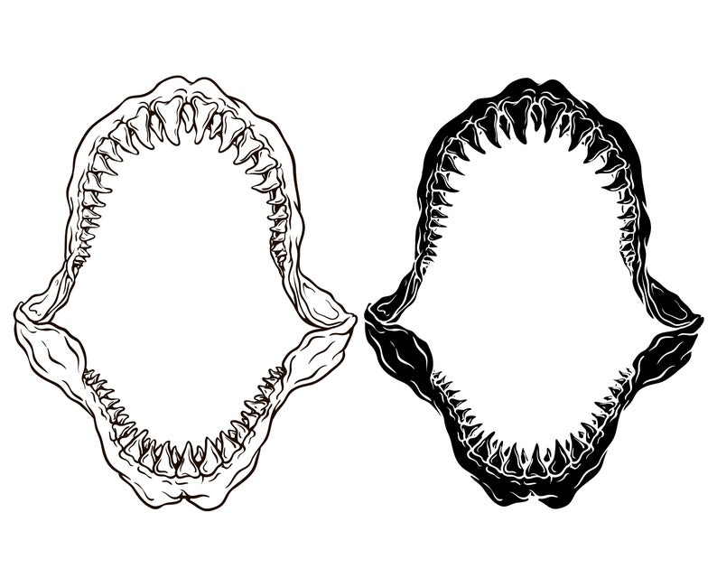 Shark Jaw Teeth Great White Etsy 794x650 Shark Jaw Teeth Great White Etsy