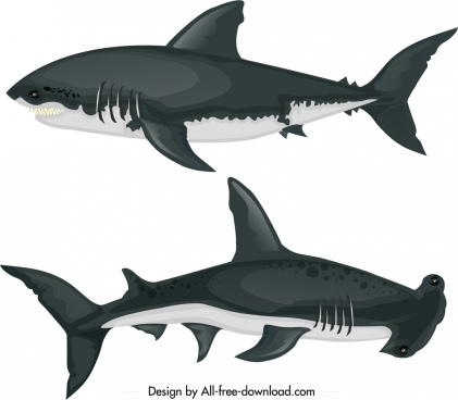 Shark Jaw Vector at Vectorified.com | Collection of Shark Jaw Vector ...