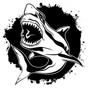 Dangerous Bull Shark Jaw Huge Catchsplace 300x300 Dangerous Bull Shark Jaw Huge Catchsplace