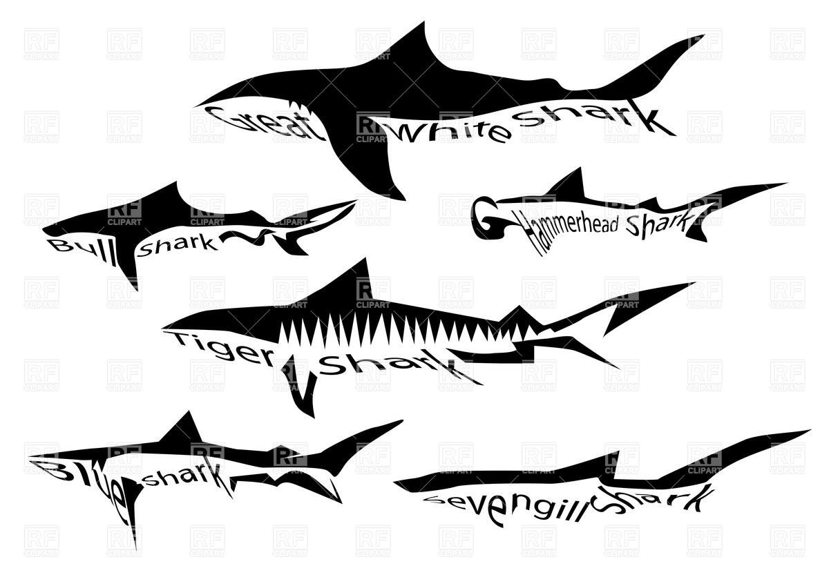 Species Of Shark 1200x849 Species Of Shark