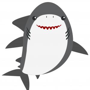 Great White Shark On White Background Catchsplace 300x300 Great White Shark On White Background Catchsplace