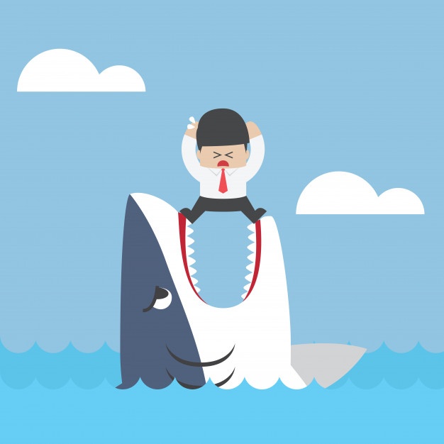 Jaws Shark Vectors, Photos And Free Download 626x626 Jaws Shark Vectors, Photos And Free Download