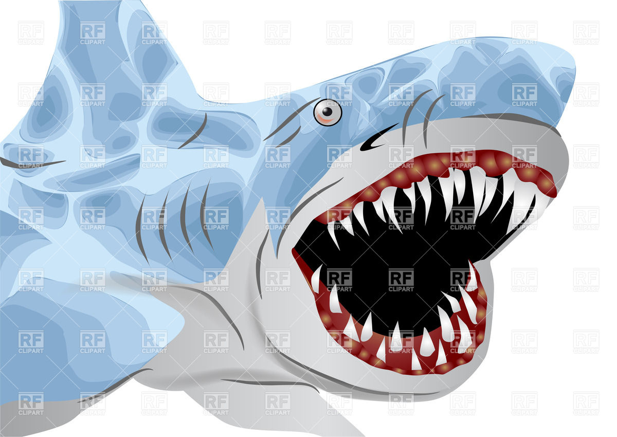 Download Shark Mouth Vector at Vectorified.com | Collection of ...