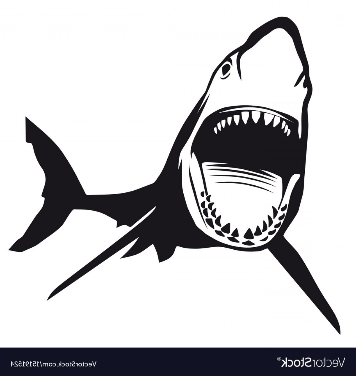 Free Free 347 Open Shark Mouth Svg SVG PNG EPS DXF File