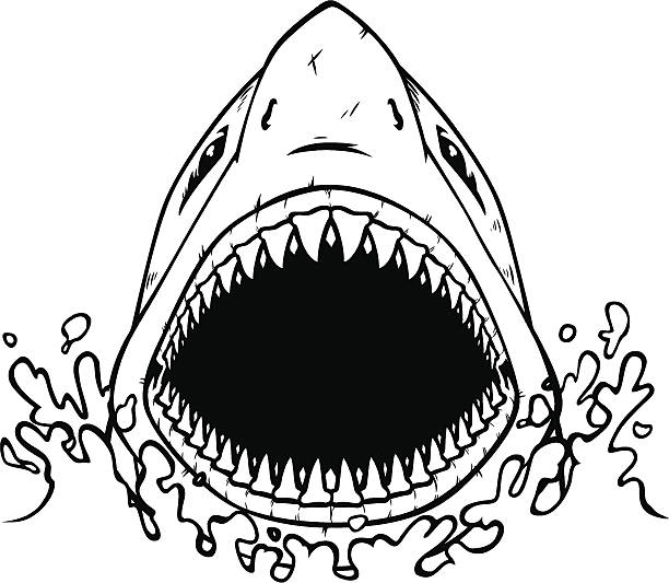 612x533 Shark Mouth Clipart Black And White