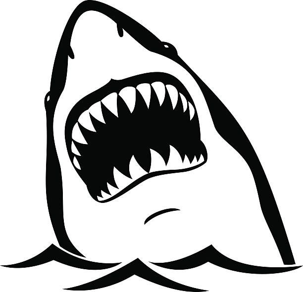 612x590 Black Shark Isolated On White Background Shark Mouth