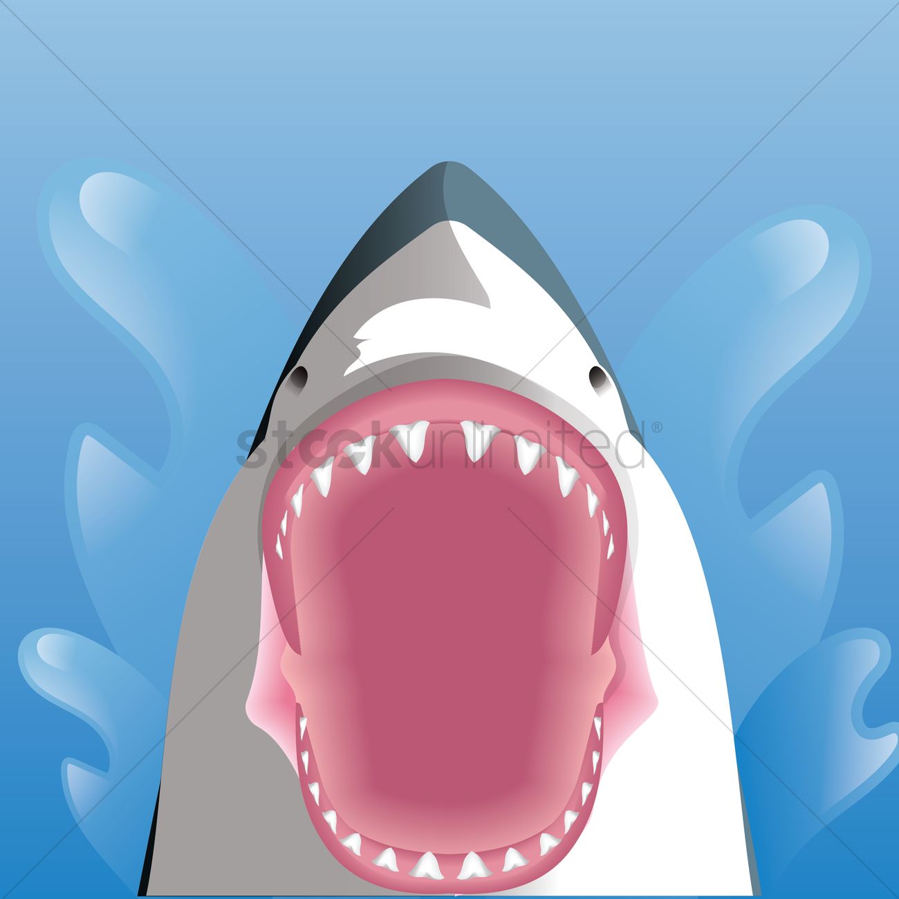 1300x1300 Shark With Opened Mouth Vector Image