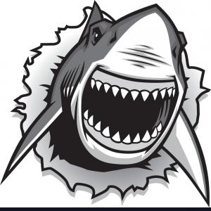Shark Mouth Vector at Vectorified.com | Collection of Shark Mouth ...