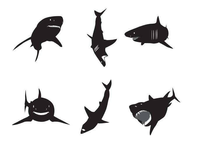700x490 Shark Free Vector Art