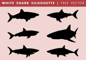 286x200 Shark Free Vector Art