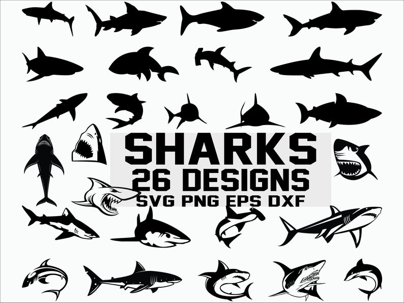 794x596 Shark Shark Silhouette Shark Vector Clipart Printable Etsy