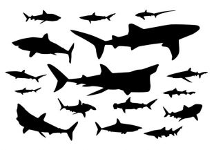310x217 Shark Silhouette Free Vector Free Vectors Ui Download