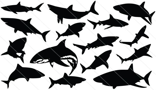 610x350 Shark Silhouette Vector Silhouette Clip Art Shark Silhouette
