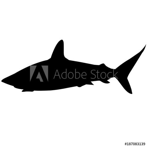 500x500 Shark Silhouette Vector Graphics