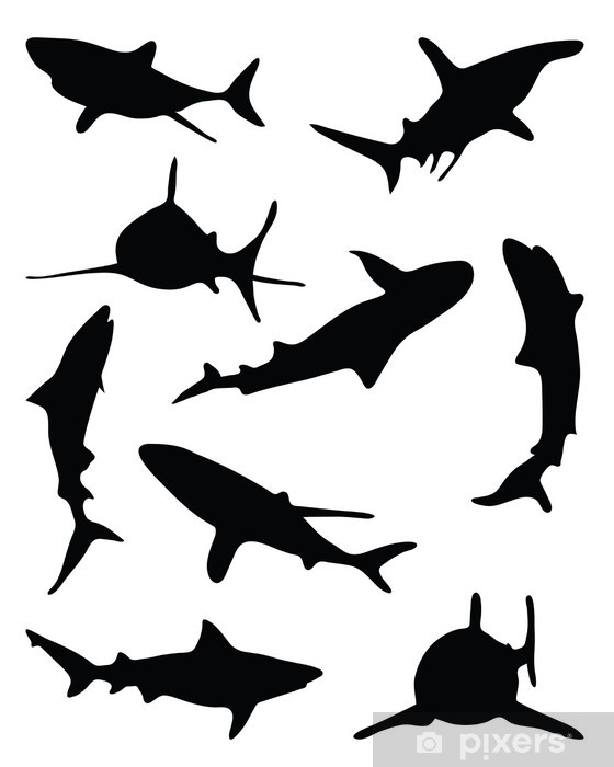 560x700 Sharks Silhouette Vector Illustration Wall Mural We